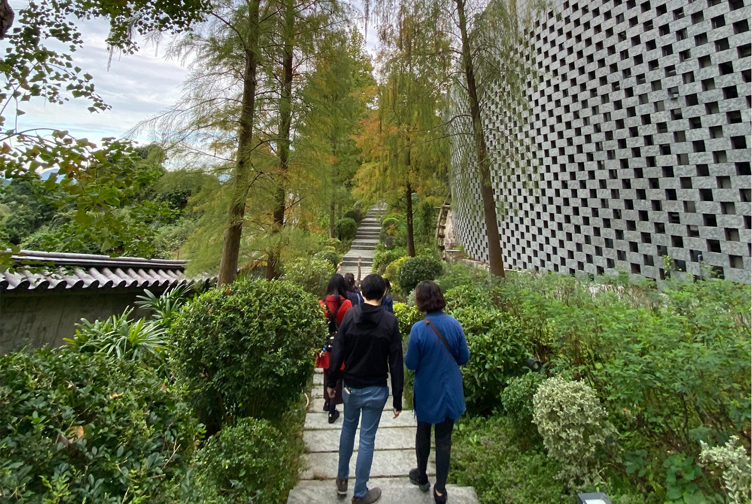 Forest Therapy in Tsz Shan Monastery